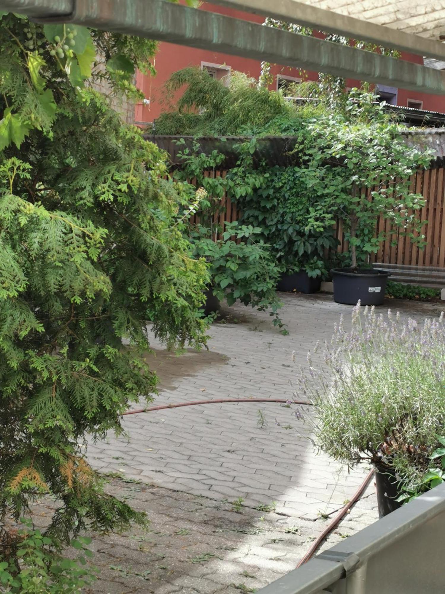 Apartment Homestay Nürnberg