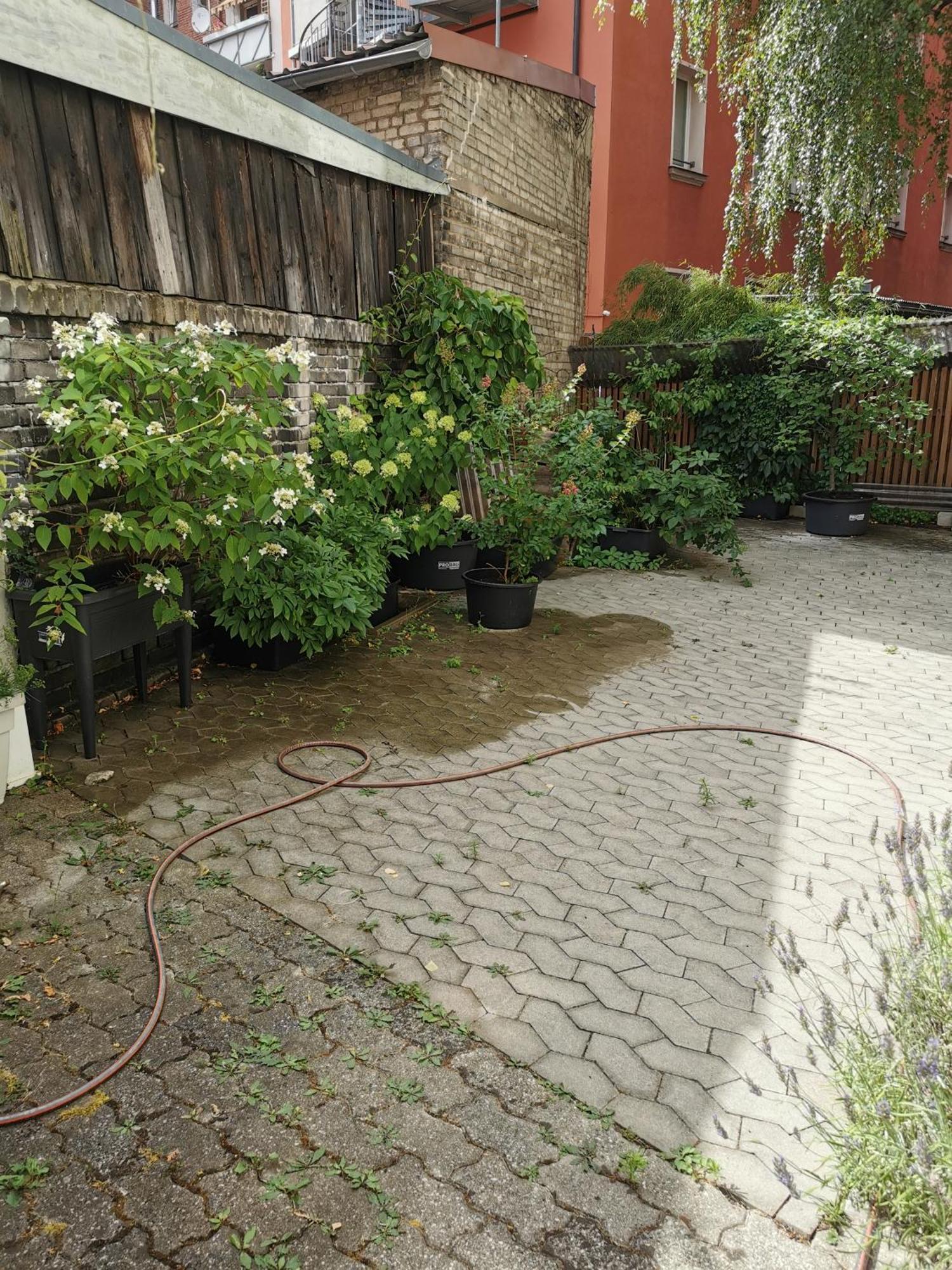Apartment Homestay Nürnberg